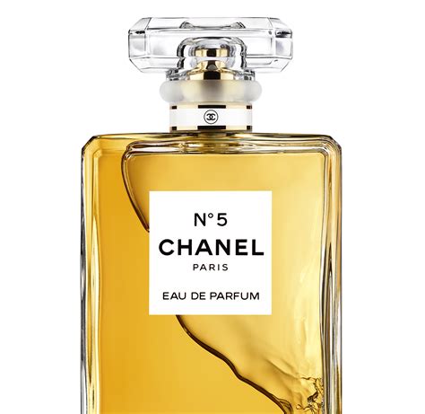 chanel for men parfum|chanel 5 perfume price.